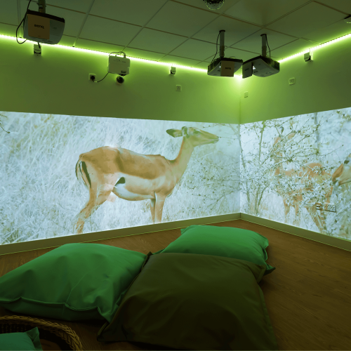 St-Crispins-Immersive-Room-2