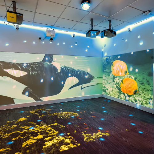 St-Crispins-Immersive-Room